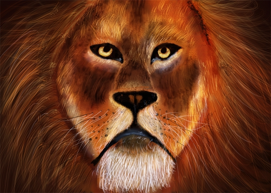 A lion drawn in procreate with the aid of a tutorial from flo... @floortjesart
#procreate #lion