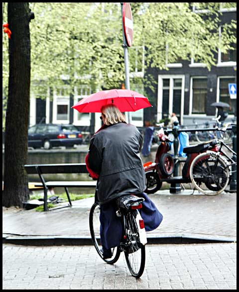 Rainy Day in Amsterdam